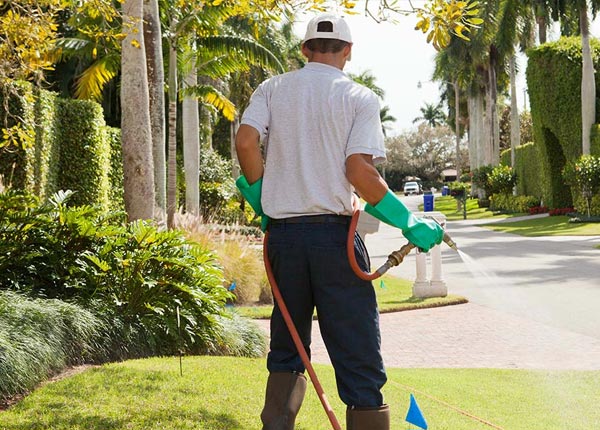 About Manchaca TX Pest Control